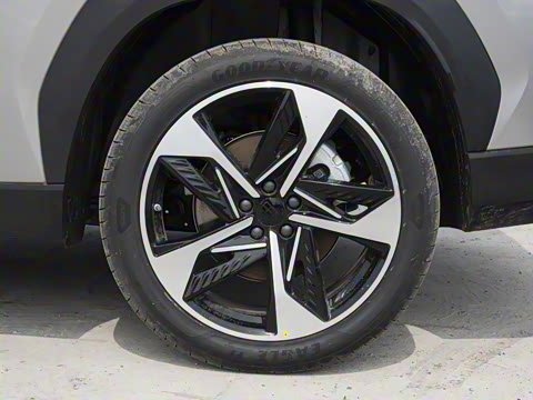 2025�� 3DHT 115km �ǽ���