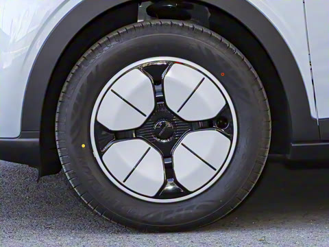 2025�� 310km �ഺ��