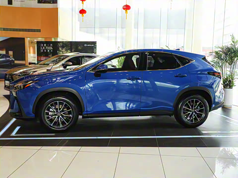 2025�� 260 ǰ�� �ر��