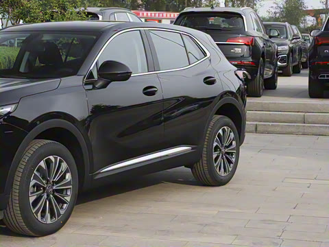 2025�� 25T �׽��