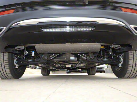 2025�� 25T �׽��