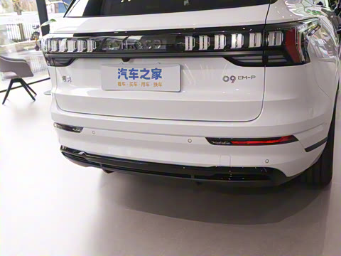 2025�� 2.0TD EM-P ����Max ����