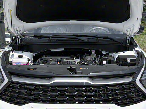 2025�� 1.5T �������������