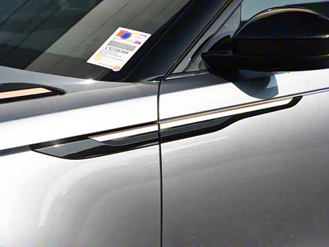 2020�� P250 R-DYNAMIC S