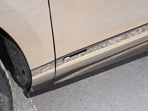 2021�� ����L P300e ������