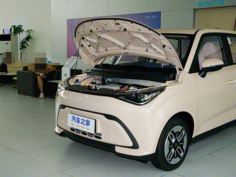 2025�� 305km ������