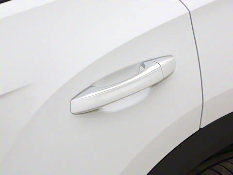 2025�� �Ŀ� 300TSI DSG���������