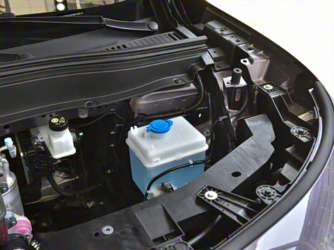 2025�� 600������