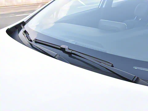 2022�� ���춯 ����������