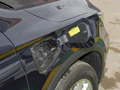 2021�� 520 ������