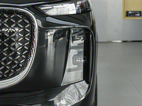 2025�� 290TGDI DCT������ 7��