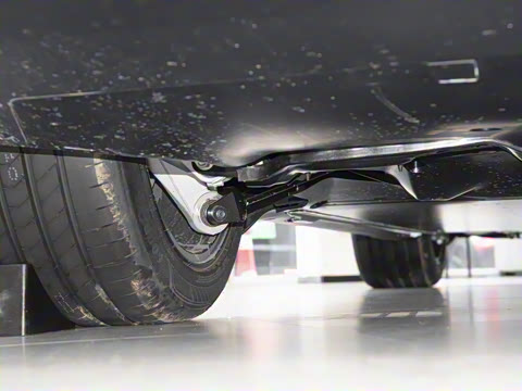 2025�� ����������