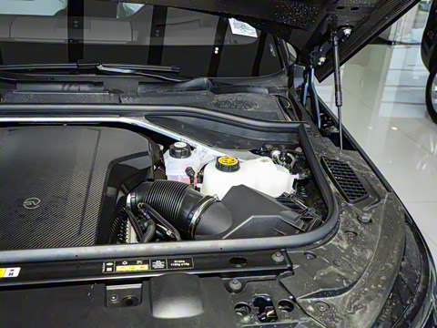 2025�� 4.4 V8 SV Edition Two