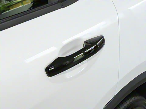 2025�� 2.0TD ��������Pro��