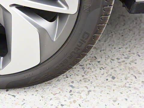 2019�� ��ά��׼�����ݷ���