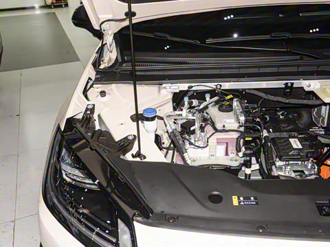 2025�� 650 ������