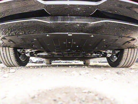 2025�� Max�����