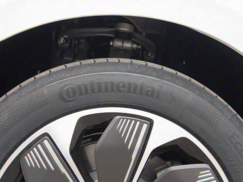 2025�� 550��ѡ��