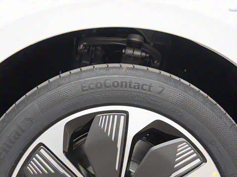 2025�� 550��ѡ��