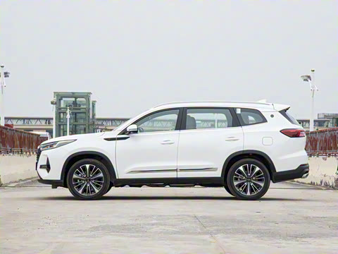 2025�� 390T ���������