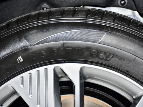 2025�� 445km ��ѡ��