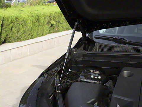 2025�� 25T �׽��