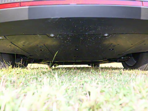 2025�� 600 �������� Max