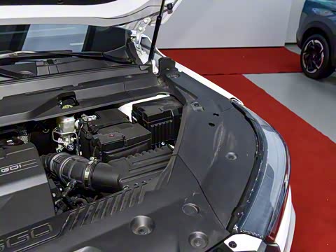 2023�� 290TGDI DCT������