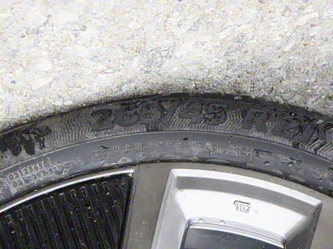 2025�� ����������Max