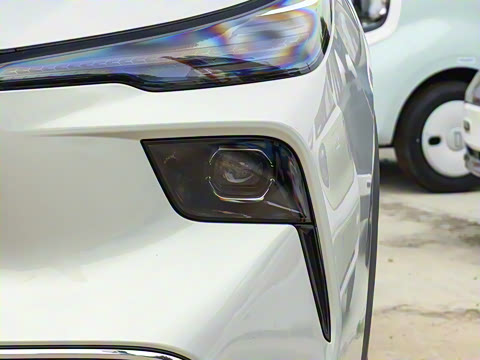 2025�� 565km ������