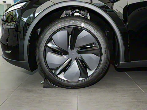 2025�� ����������