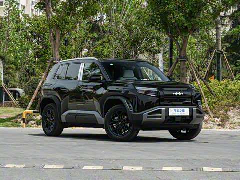 2025�� 501KM ����Max��