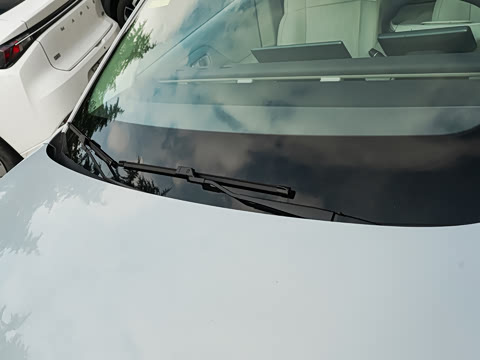 2025�� 550������