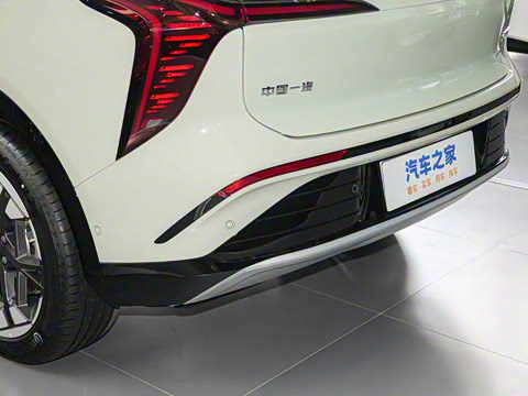 2025�� 520 ��ѡ��