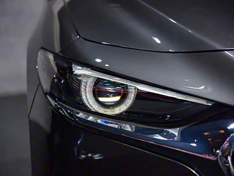 2020�� 2.0L Xѹȼ������