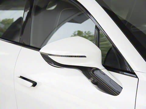 2025�� Max �����