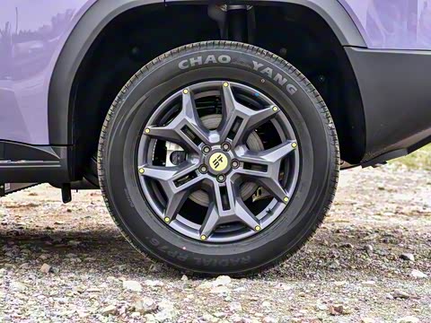 2025�� C-DM 129KM ����Ů��