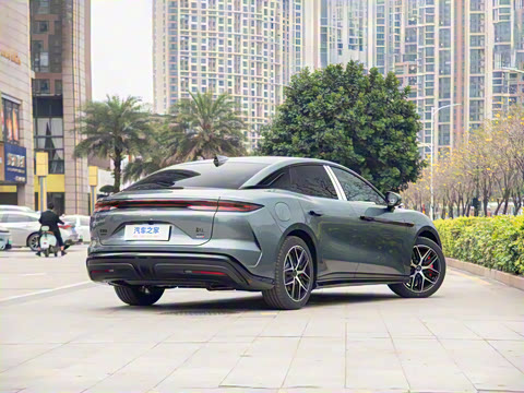 2025�� DM-p ���������״��콢��