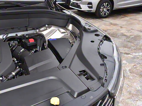 2025�� �Ŀ� B6 ��Զ������ 6��