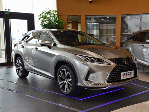 2020�� 300 �������Ű� ��VI