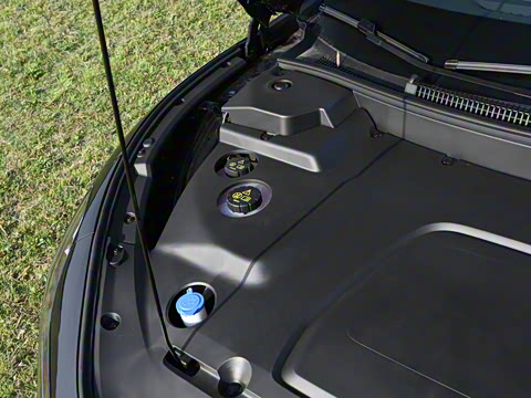 2025�� 600 �������� Max