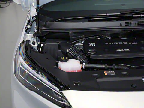 2025�� ½�� ������ 7��