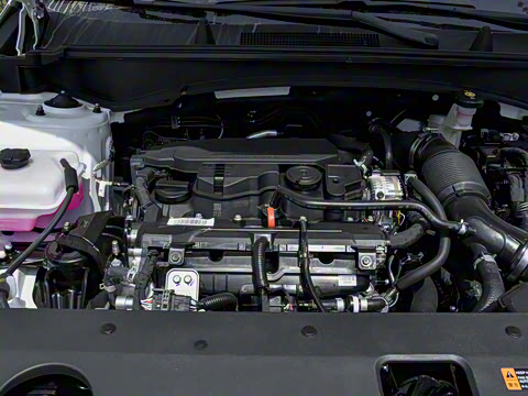 2025�� 1.5T �������������