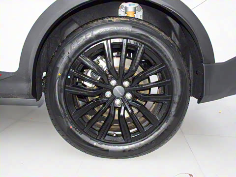 2025�� 1.5T ������ 5��