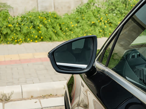 2025�� DM-i 175KM �캽��