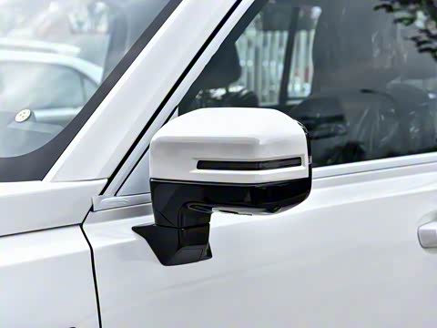 2025�� 2.0T 4WD Pro