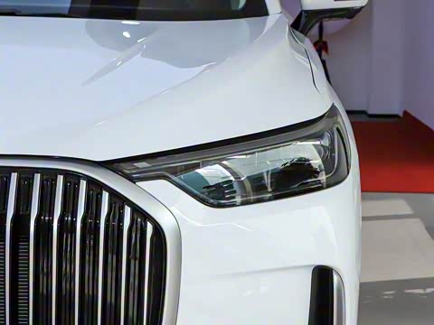 2025�� 1.5T 106KM������ 7�� �������