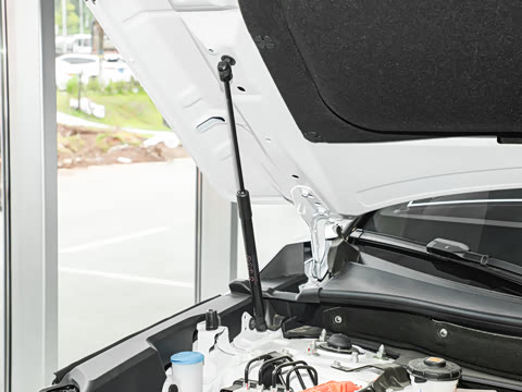 2025�� e:HEV ������ҫ��