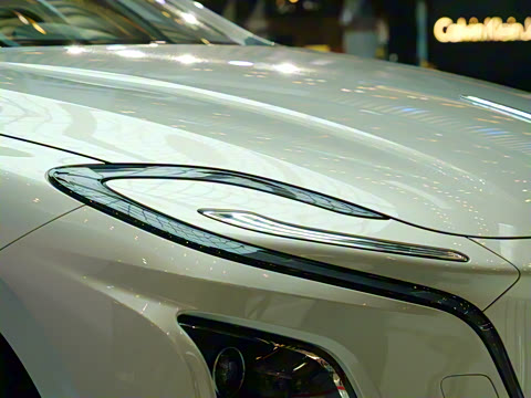 2022�� 431km ���������