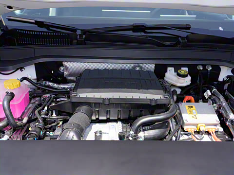 2025�� 120 ���������콢�� 5�� �������